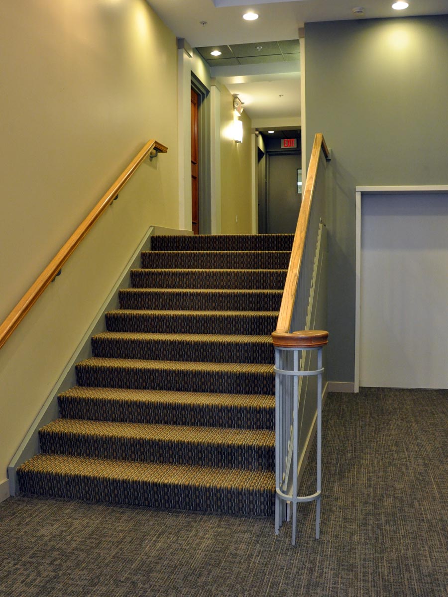 Patterned Stair Carpet