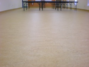 Marmoleum Sheet Vinyl