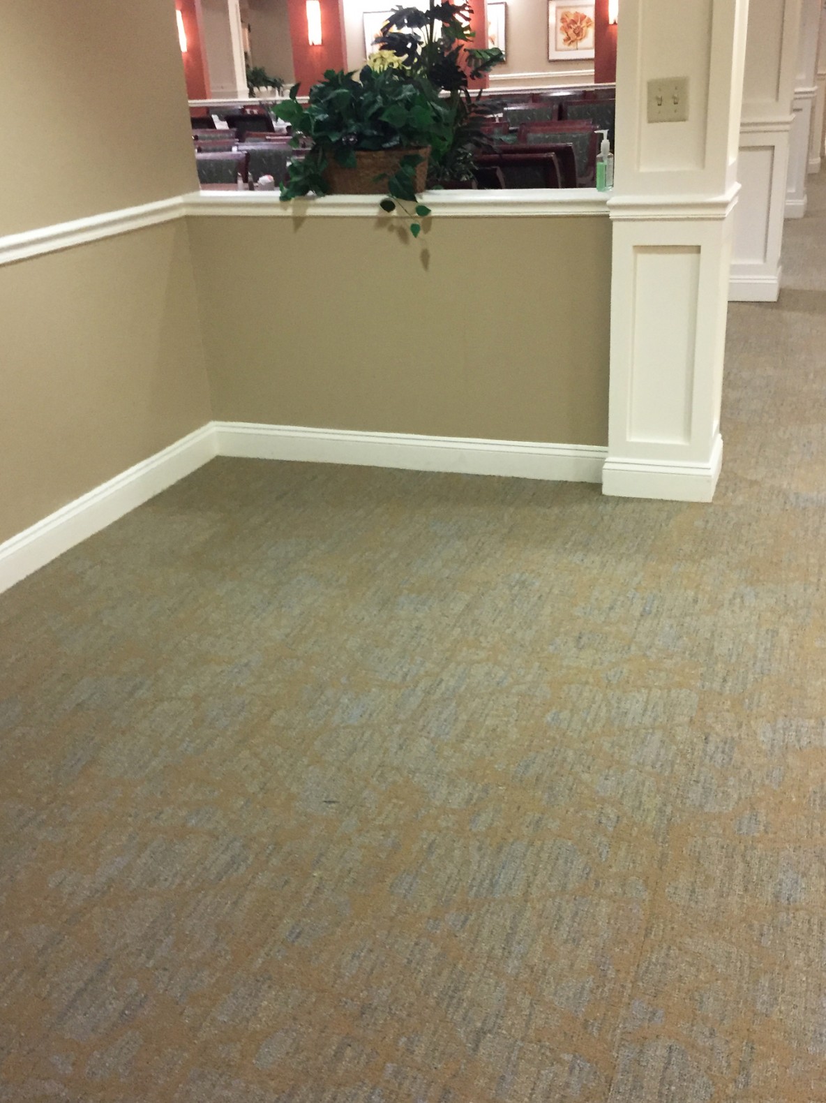 Patterned Carpet tile, Porcelain tile, Independent Assisted living