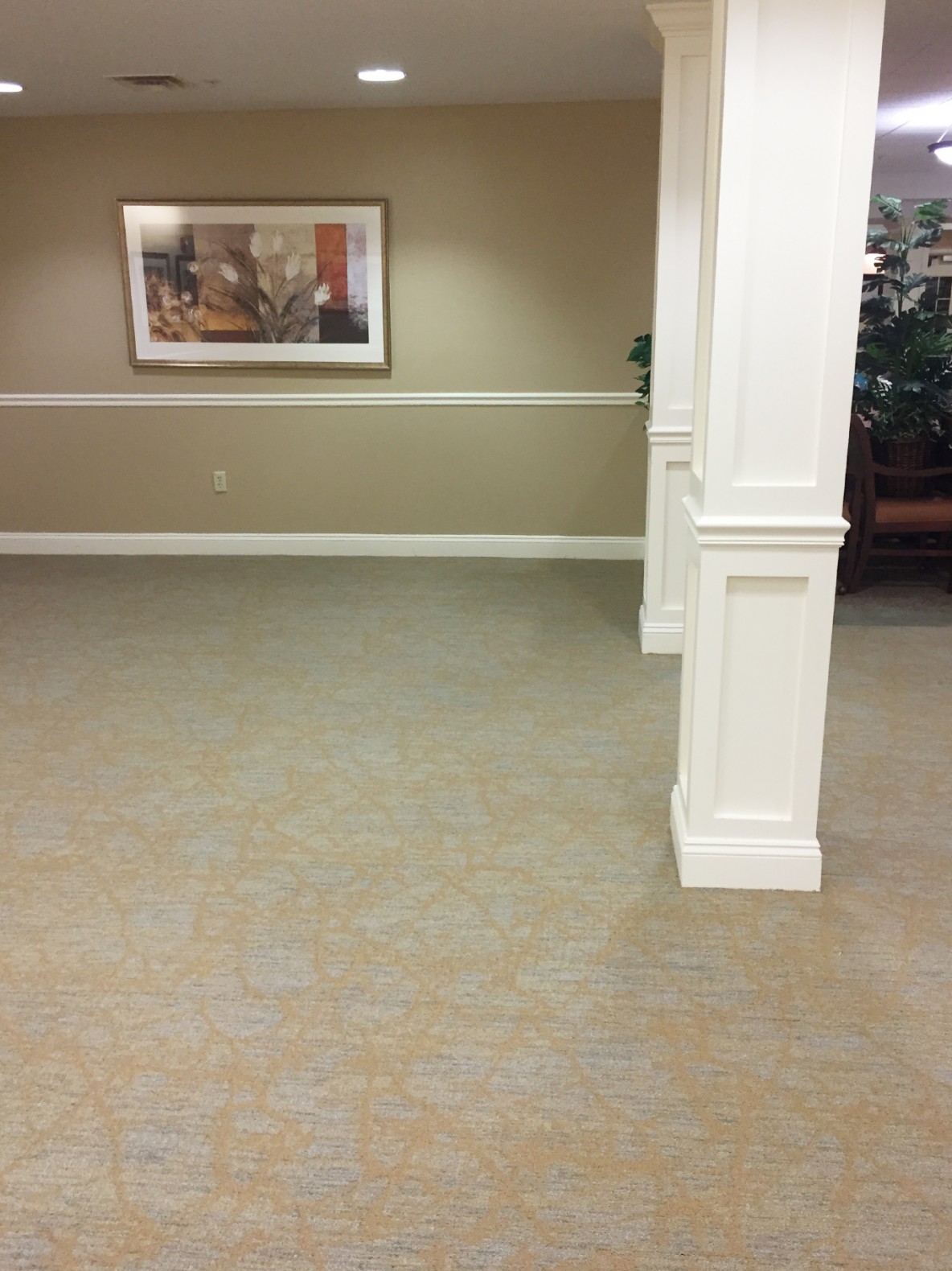 Patterned Carpet tile, Porcelain tile, Independent Assisted living